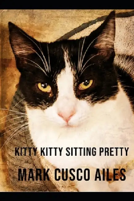 Kitty Kitty Sitting Pretty by Mark Cusco Ailes