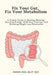 Fix Your Gut, Fix Your Metabolism: A Simple Guide to Beating Bloating, Boosting Energy, Reducing Cravings, and Breaking Weight Loss Resistance by Kwan Wai Muy