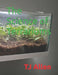 The Science of Terrariums by Tj Allen
