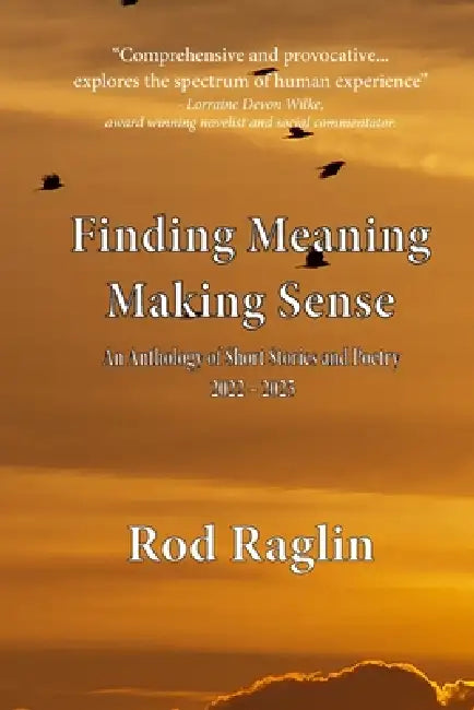 Finding Meaning Making Sense by Raglin