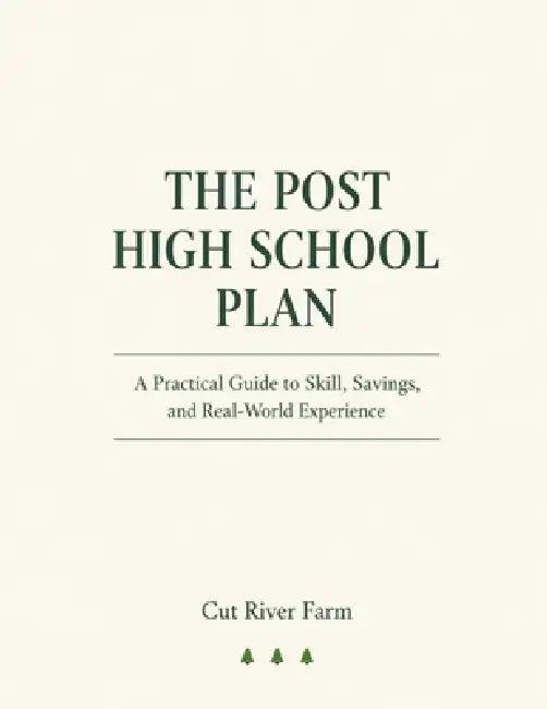 The Post High School Plan: A Complete Guide for Young Adults and Parents Navigating Life After Graduation by Jon &. Angela Stoyak