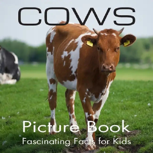 Cows Picture Book Fascinating Facts For Kids