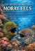 The Secret World of Moray Eels: A mysterious journey beneath the ocean's surface revealing the hidden hunting strategies, eerie beauty, and untold sur by Alexander Lewis