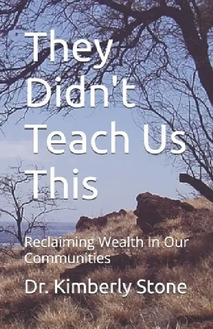 They Didn't Teach Us This: Reclaiming Wealth In Our Communities by Kimberly D. Stone