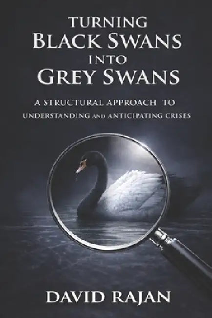 Turning Black Swans Into Grey Swans: A Structural Approach to Understanding and Anticipating Crises by David Rajan