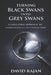 Turning Black Swans Into Grey Swans: A Structural Approach to Understanding and Anticipating Crises by David Rajan