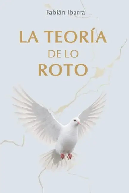 Teoría de lo Roto by Fabián Ibarra