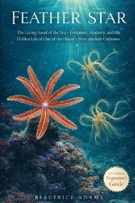 Feather Star: The Living Fossils of the Sea- Evolution, Anatomy, and the Hidden Life of one of the Ocean's Most Ancient and Elegant Creatures by Beautrice Adams