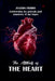 The Attitude of the Heart: Confronting the Attitude and Intentions of the Heart by Zulema Fierro