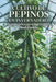 Cultivo de pepinos en invernadero: Guía práctica para lograr altos rendimientos by Svitana