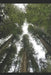 Collected Poems: Loving God and Wedding Night of Creation by Jasper Smith
