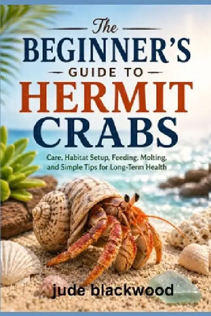 The Beginner's Guide to Hermit Crabs: Care, Habitat Setup, Feeding ...