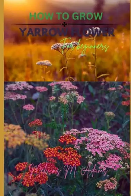 How to grow Yarrow flowers for beginners: The Ultimate Beginner's Guide to Growing, Caring for, and Harvesting Yarrow at Home and garden by Melvins M. Adams