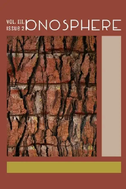 ionosphere Vol III Issue 2 by Amplicon Press
