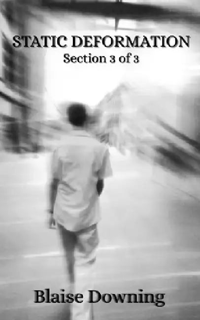 Static Deformation: Section 3 of 3 by Blaise Downing