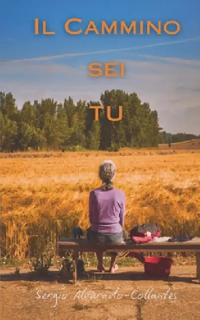 Il Cammino sei TU: Pellegrini della speranza by Sergio Alvarado-Collantes