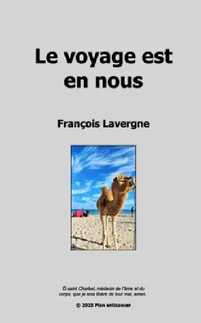 Le voyage est en nous by François Lavergne