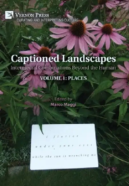 Captioned Landscapes: Intermedial Combinations Beyond the Human: Volume 1: Places by Marco Maggi
