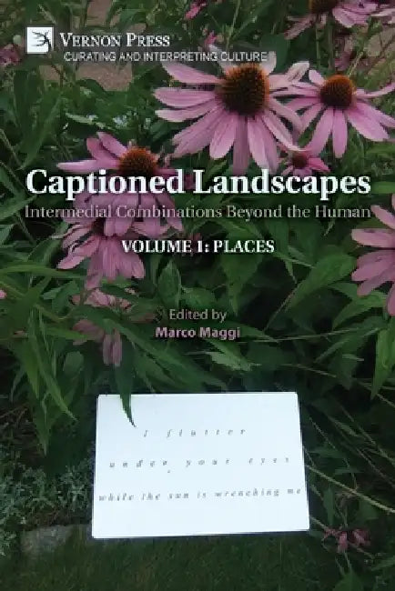 Captioned Landscapes: Intermedial Combinations Beyond the Human: Volume 1: Places by Marco Maggi