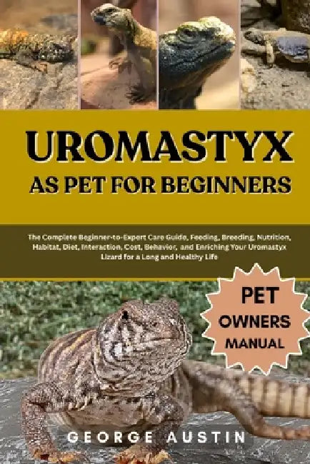 Uromastyx As Pet For Beginners