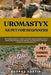 Uromastyx As Pet For Beginners