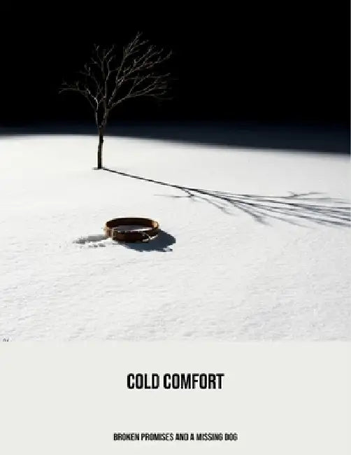 Cold Comfort: Broken Promises And A Missing Dog by Thomas Worley