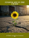 Finding Joy In The Chaos: An Orthodox Approach To An Unorthodox Life by Noyan Lewis