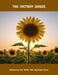 The Victory Dance: Reclaiming Your Health And Uprooting Cancer by Rachel Encinas