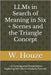 LLMs in Search of Meaning in Six + Scenes and the Triangle Concept: -A Contrapuntal Presentation Exploring AI/LLMs in Scholarly Pursuits- by Houze, W.
