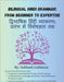 Bilingual Hindi Grammar: From Beginner to Expertise by Gahlawat, Subhash