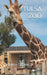 Tulsa Zoo by Joshua Osswald