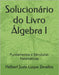 Solucionário do Livro Álgebra I: Fundamentos e Estruturas Matemáticas by Luque Zevallos, Helbert Justo