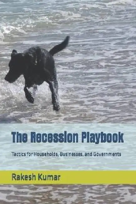 The Recession Playbook: Tactics for Households, Businesses, and Governments by Rakesh Kumar