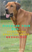Discover your dog: Everything about the breed: Broholmer by Kennet Reyen, A.