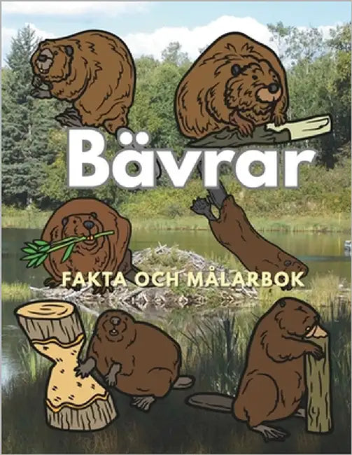 Bävrar: Fakta och målarbok: Aktivitetsbok Barn från 2 till 16 år by Book, Steven