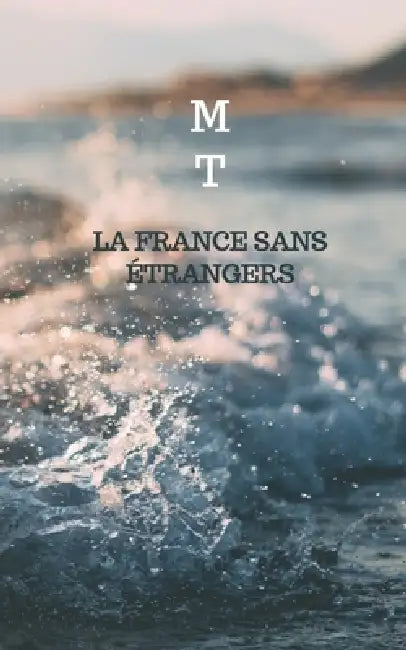 La France sans étrangers: Une histoire de l'immigration inversée by M. T