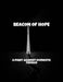 Beacon Of Hope: A Fight Against Domestic Terror by Ryan Waters