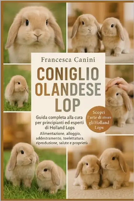 Coniglio Olandese Lop: Guida completa alla cura per principianti ed esperti di Holland Lops Alimentazione, alloggio, addestramento, toelettatura, ripr by Canini, Francesca