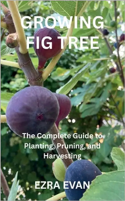 Growing Fig Tree: The Complete Guide to Planting, Pruning, and Harvesting by Evan, Ezra