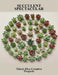 Succulent Spectacular: Thirty-Five Creative Projects by Brandee Lake