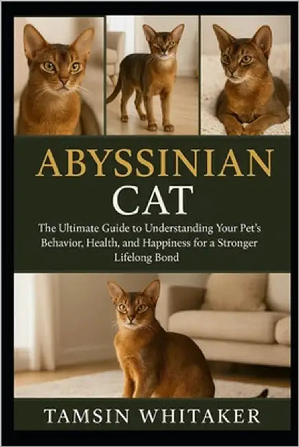 Abyssinian Cat: The Ultimate Guide to Understanding Your Pet's Behavior, Health, and Happiness for a Stronger Lifelong Bond by Whitaker, Tamsin