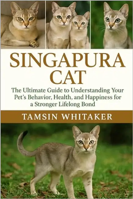 Singapura Cat: The Ultimate Guide to Understanding Your Pet's Behavior, Health, and Happiness for a Stronger Lifelong Bond by Whitaker, Tamsin