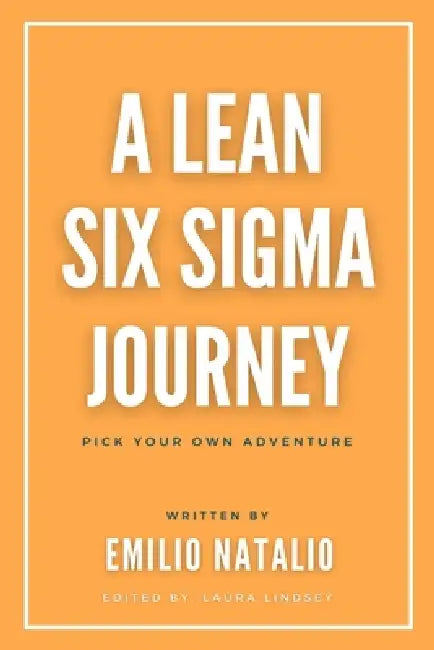 A Lean Six Sigma Journey: Pick Your Own Adventure by Laura Lindsey, Emilio Natalio