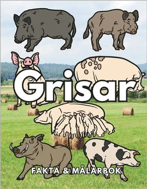 Grisar: Fakta och målarbok: Aktivitetsbok för barn i åldrarna 2 till 16 år by Book, Steven