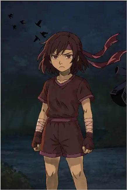 Amaya Akegami: Monster oder doch ein Mensch? by Schmid, Ari