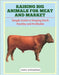 Raising Big Animals for Meat and Market: Simple Guide to Keeping Stock Healthy and Profitable by Schmelzer, Lewis