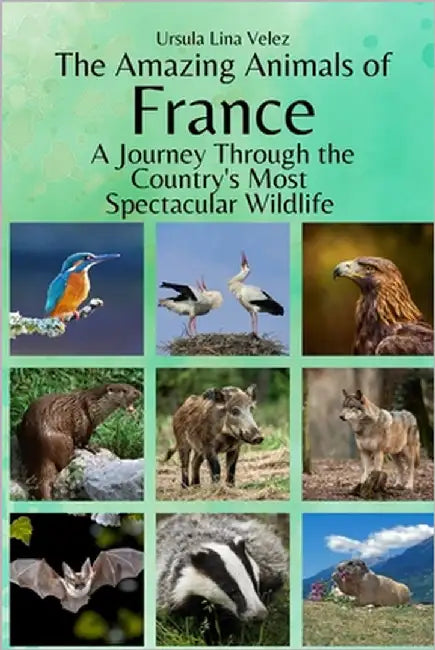 The Amazing Animals of France: A Journey Through the Region's Most Spectacular Wildlife by Velez, Ursula Lina