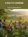 A Healthy Commune: Living Low Toxin In Everyday Life by Jeffery Fielding