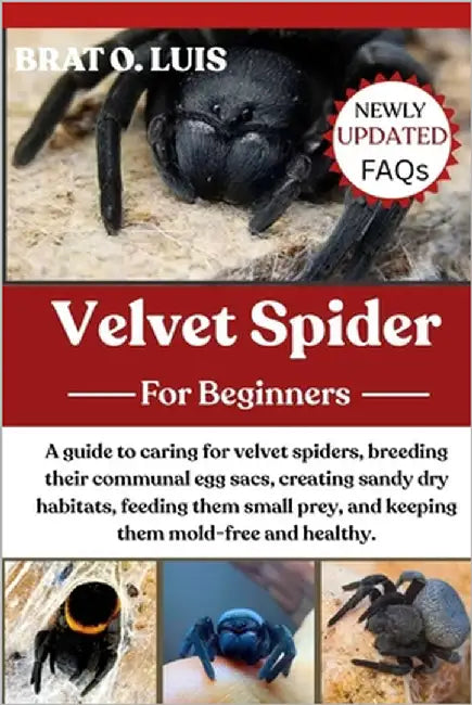 Velvet Spider: A guide to caring for velvet spiders, breeding their communal egg sacs, creating sandy dry habitats, feeding them small prey, and keepi by O. Luis, Brat