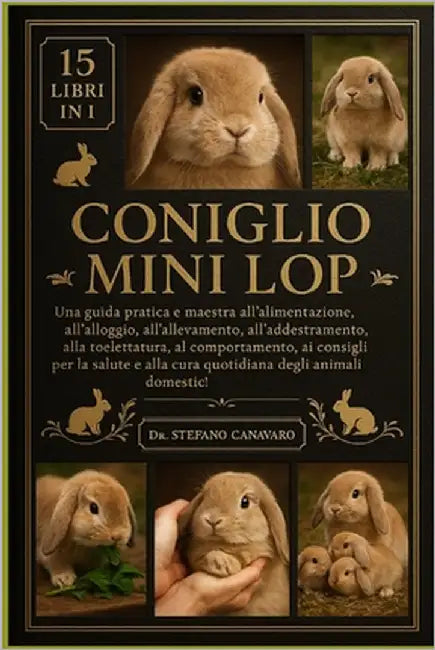 Coniglio Mini Lop by Canavaro, Stefano